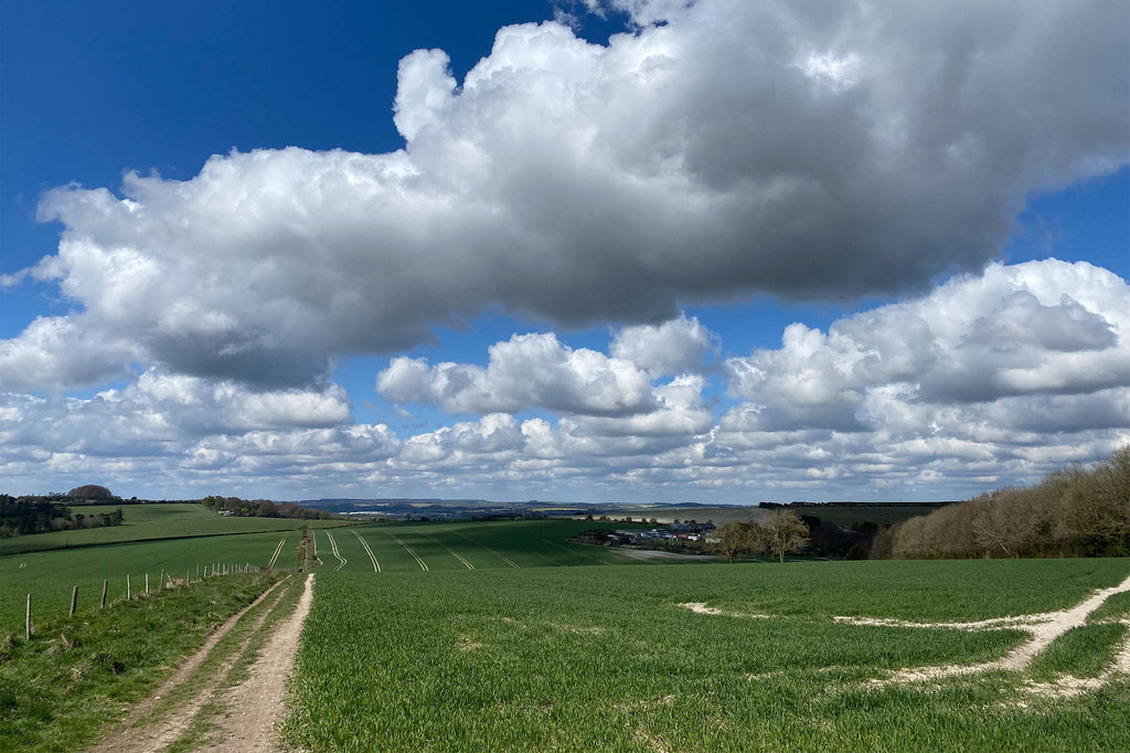 Reader's Rides: Jim's King Alfred's Way