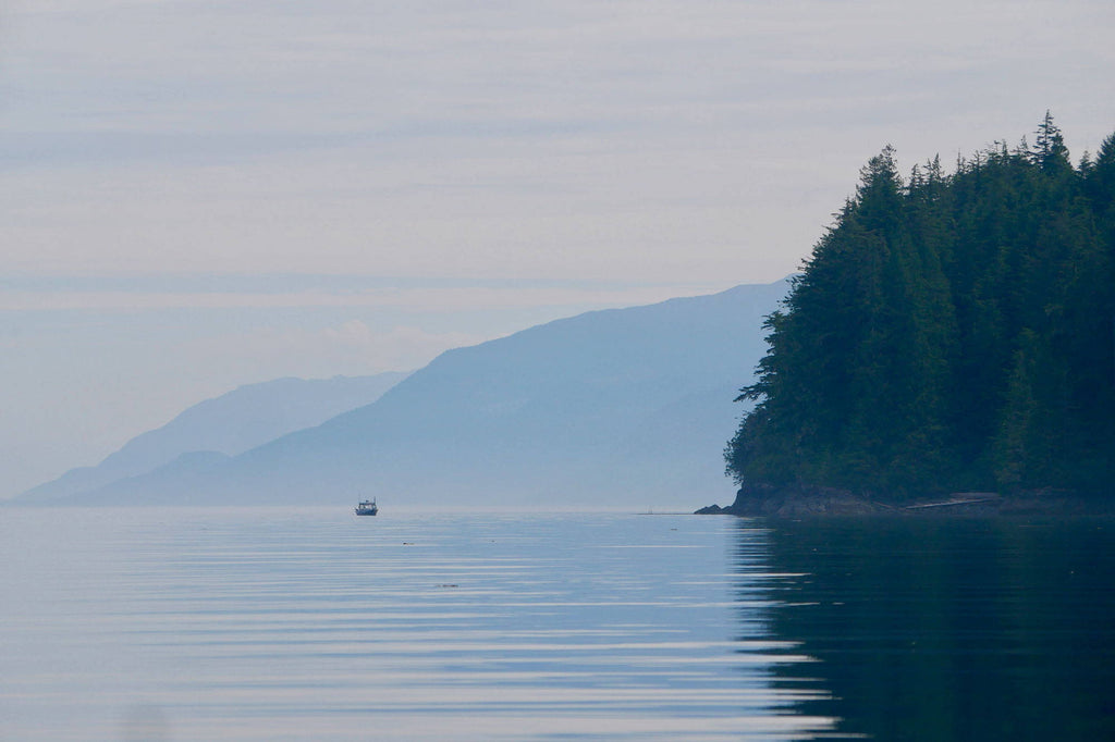 Exploring Vancouver Island With Ben Boxer