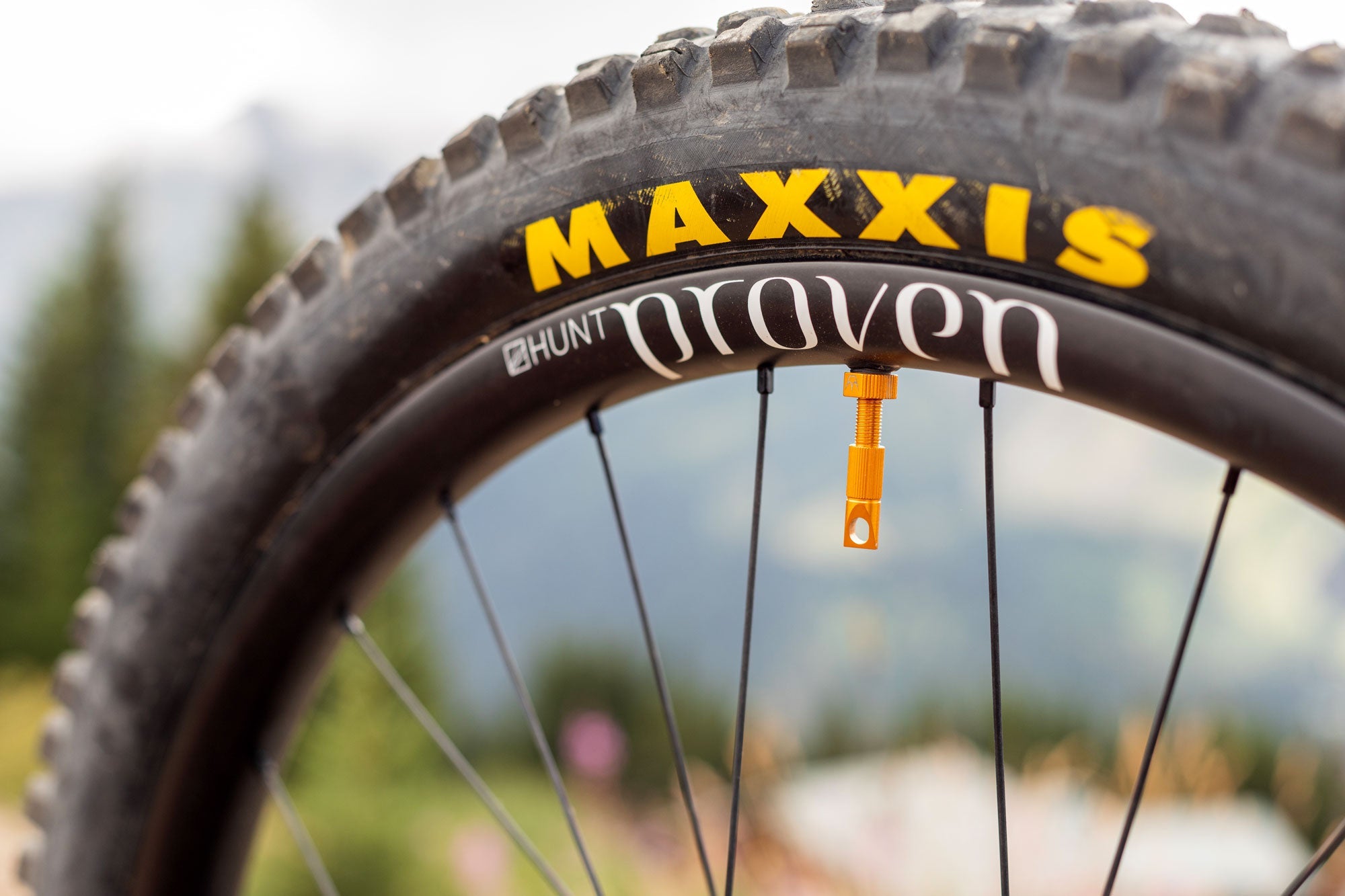 <h1>Spokes</h1><i>We have chosen top of the line, triple butted Pillar Spokes with increased reinforcement at the spoke head. Not only are these spokes extremely lightweight, they are also able to provide a greater degree of elasticity when put under increased stress. Whatsmore the spokes feature a different guage front and rear to further enhanced the tuned nature of Race Enduro.</i>