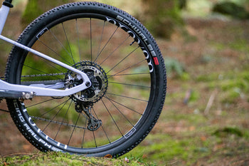 <h1>Spokes</h1><i>28 race-ready, straight pull Pillar PSR 1420 spokes connect the cutting edge Proven carbon rim to our CNC machined alloy hub bodies. Each bladed spoke is cold forged and boasts a 30% reduction in weight with no compromise in strength. Strong, fast, lightweight, and they look good too.</i>
